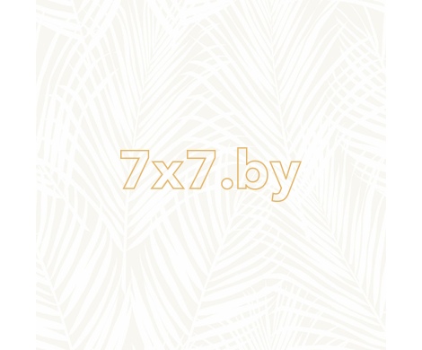 City Chic 347741